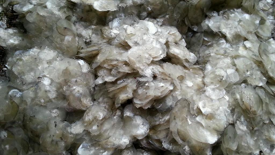 碱性人生就是博-尊龙凯时酶解鱼鳞制备胶原蛋白多肽，成品有沉淀？