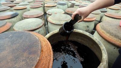 酸性人生就是博-尊龙凯时酿造好酱油
