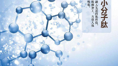关于蛋白质与蛋白肽的区别，您有了解多少？